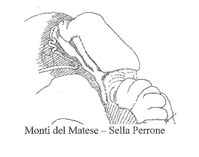 Cochlostoma montanum cassiniacum (Saint Simon in Paulucci)